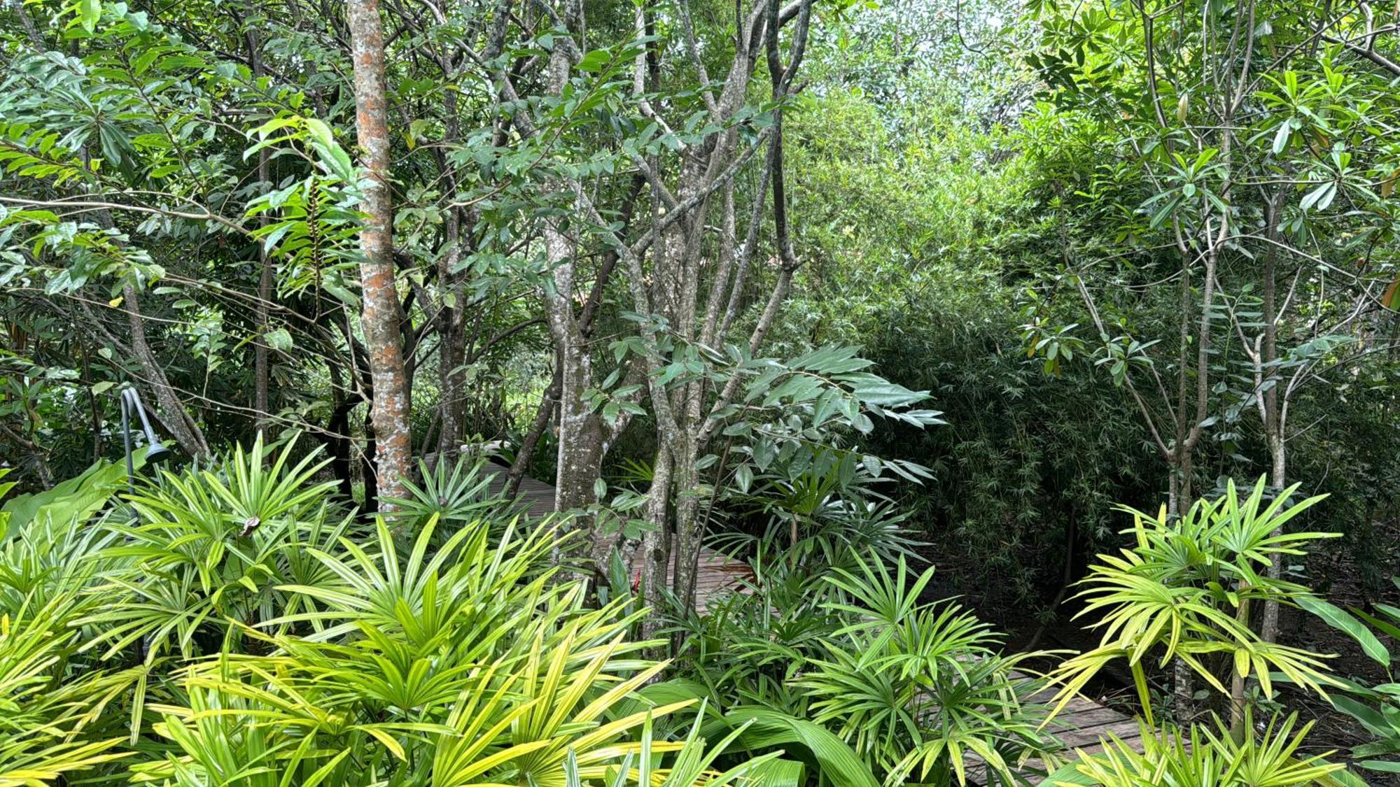 Ginganga Lodge Галле Экстерьер фото