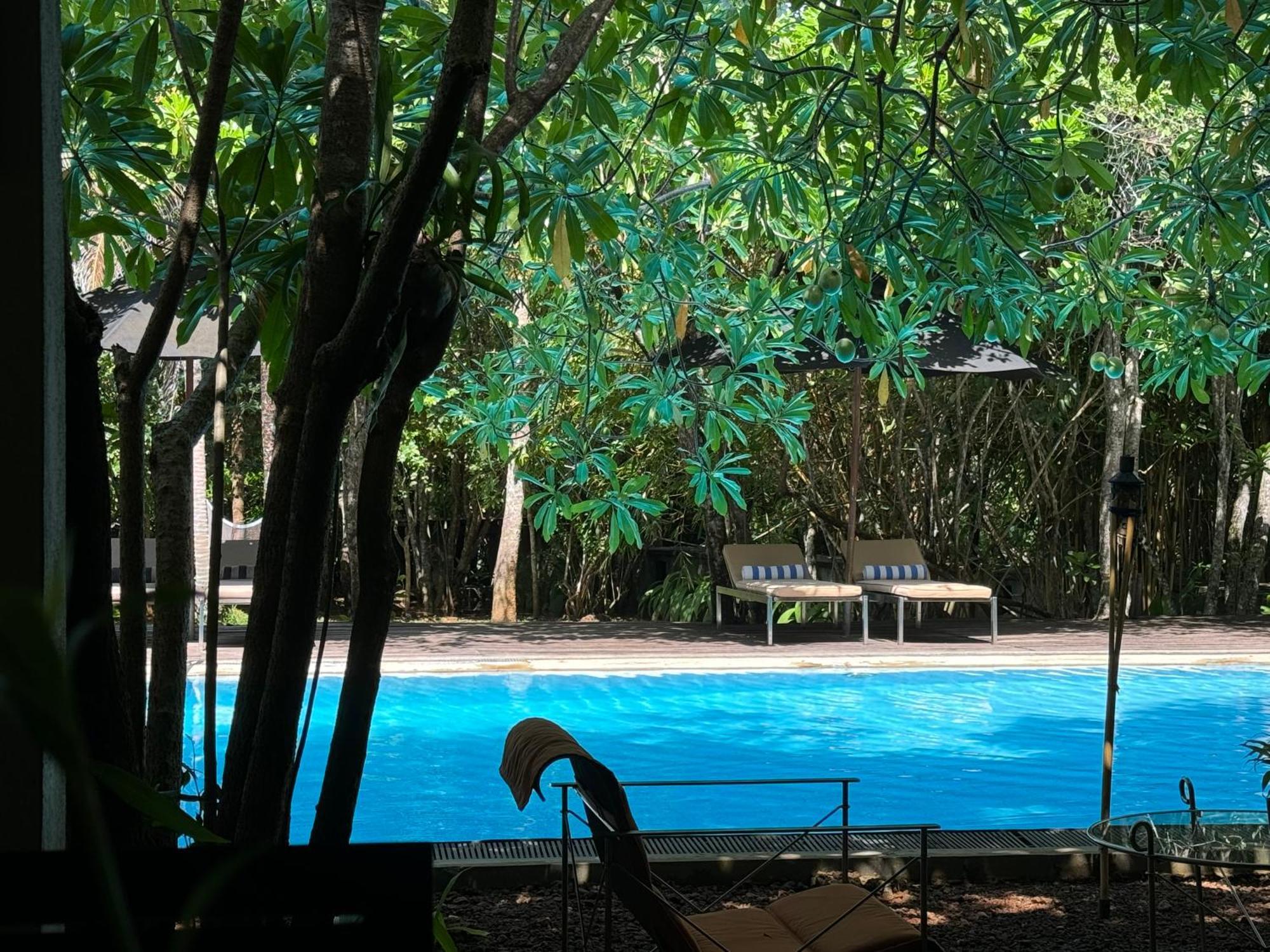 Ginganga Lodge Галле Экстерьер фото
