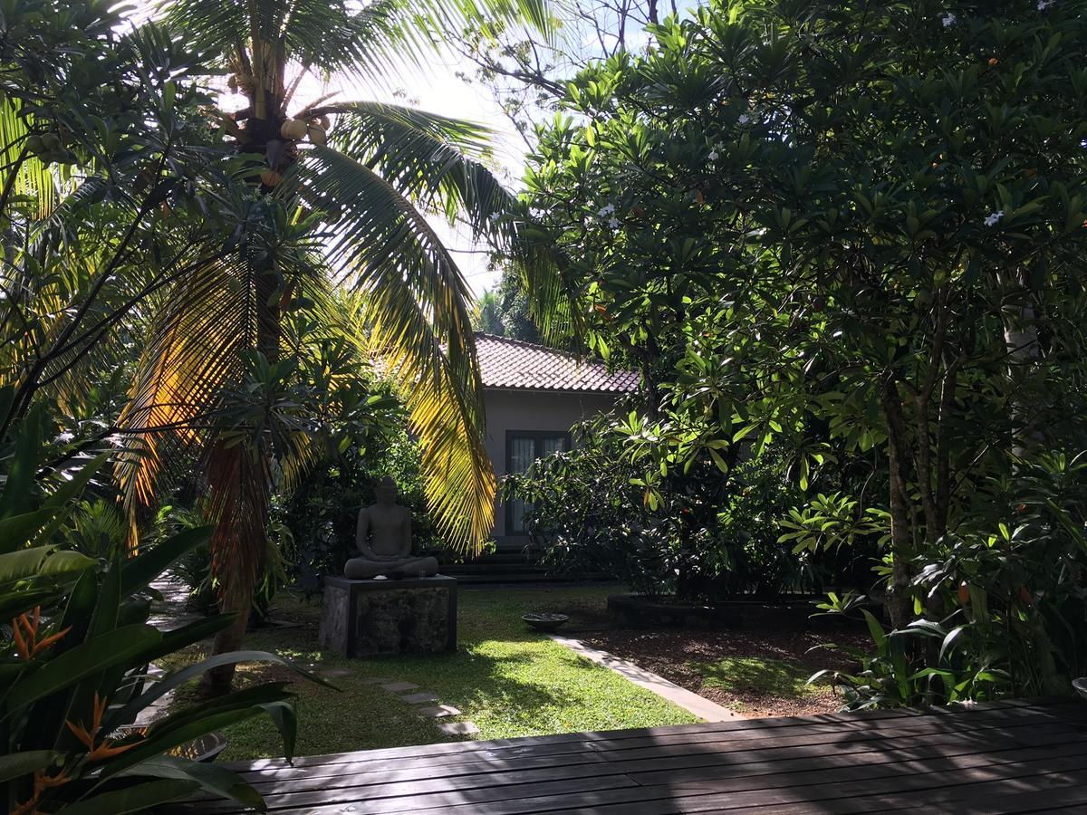 Ginganga Lodge Галле Экстерьер фото